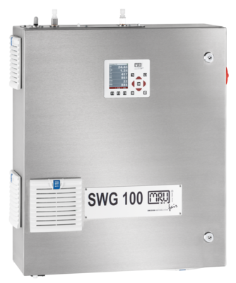 SWG 100 Syngas